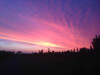 Image 89
