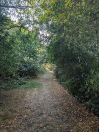 Image 35