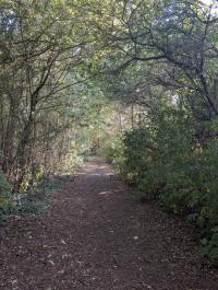 Image 38