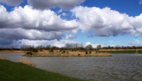 Image 68