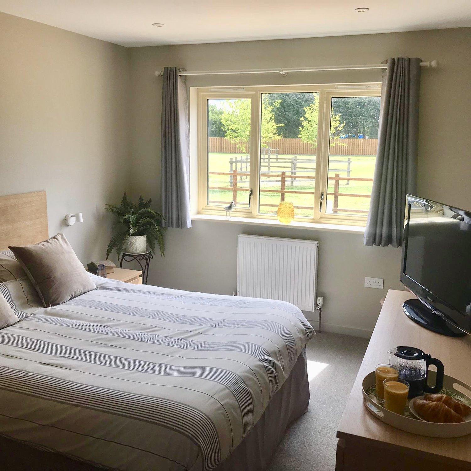 room 11
