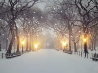 Image 14
