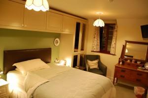 Green Room Double En-suite Room ( 2 Adults ) (inc. Breakfast)