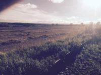 Rolands Croft Guest House 3