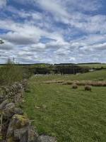 Image 16