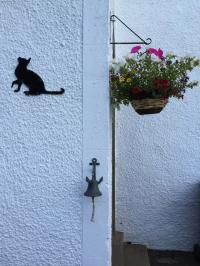 Image 24