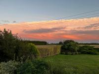Image 16