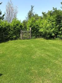 Image 61