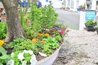 Image 15