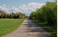 Image 71