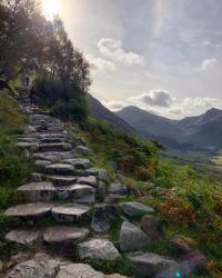 Image 65