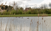 Image 69