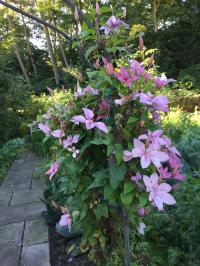 Image 20