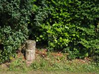 Image 58
