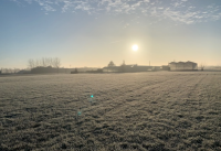 Image 16