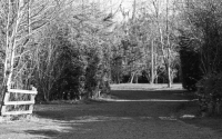 Image 70