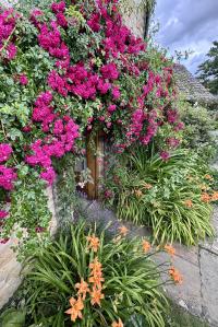 Image 22