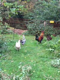 Image 80
